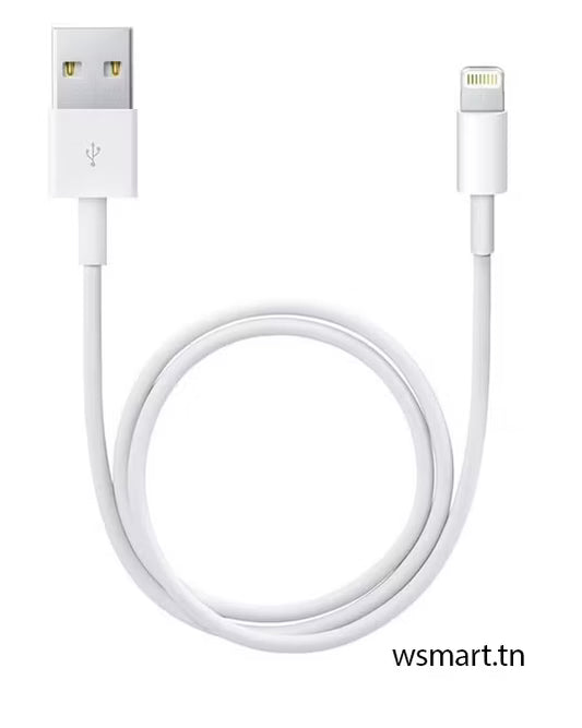 Câble Chargeur Apple Type-USB Vers Type- lightning Blanc (Master Copie)