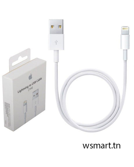 Câble Chargeur Apple Type-USB Vers Type- lightning Blanc (Master Copie)