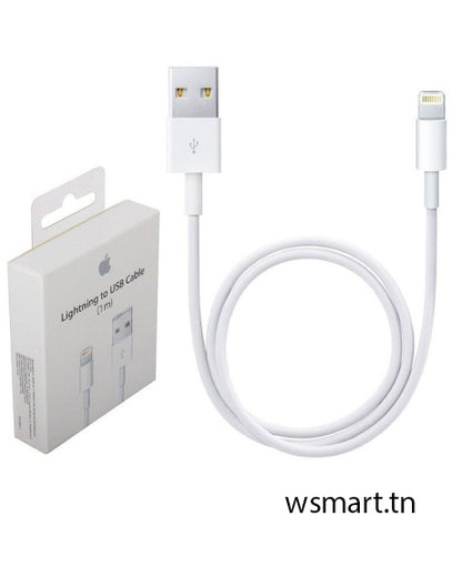 Câble Chargeur Apple Type-USB Vers Type- lightning Blanc (Master Copie)